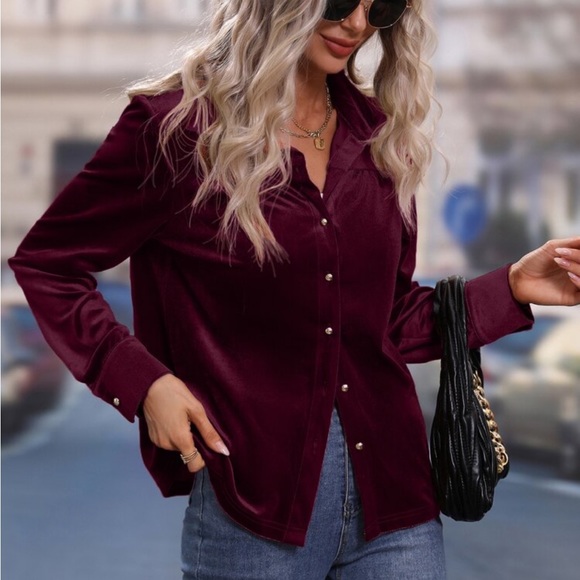 Luxe Velvet Button Down Shirt Top Blouse Rust - Picture 10 of 17